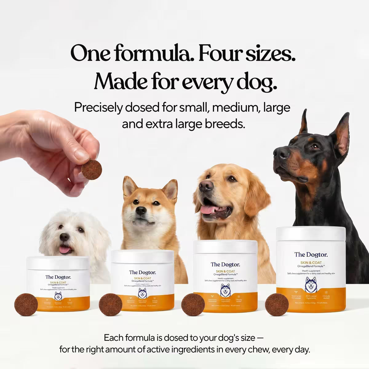 Skin & Coat